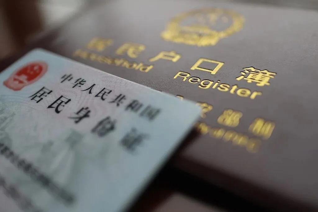 证件制作案例展示一