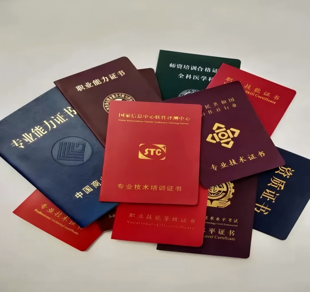 证件制作案例展示二